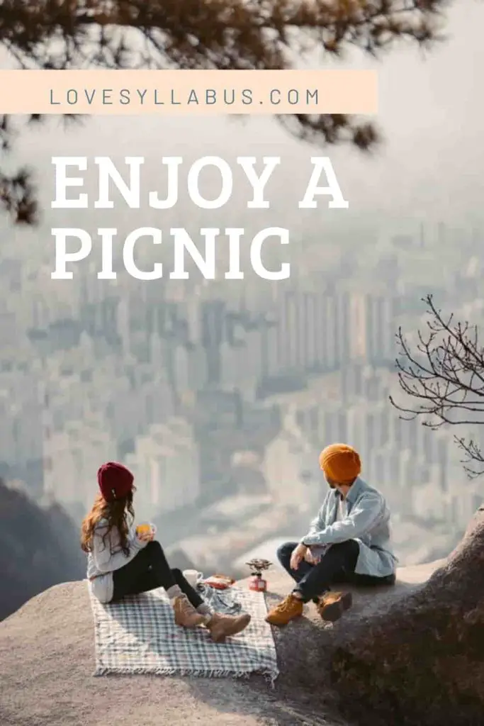 enjoy a picnic