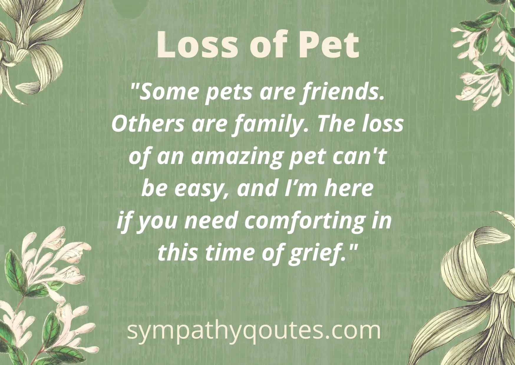  Sympathy Messages for Loss of Pet