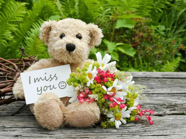 50+ I Miss You… Love Messages For Him