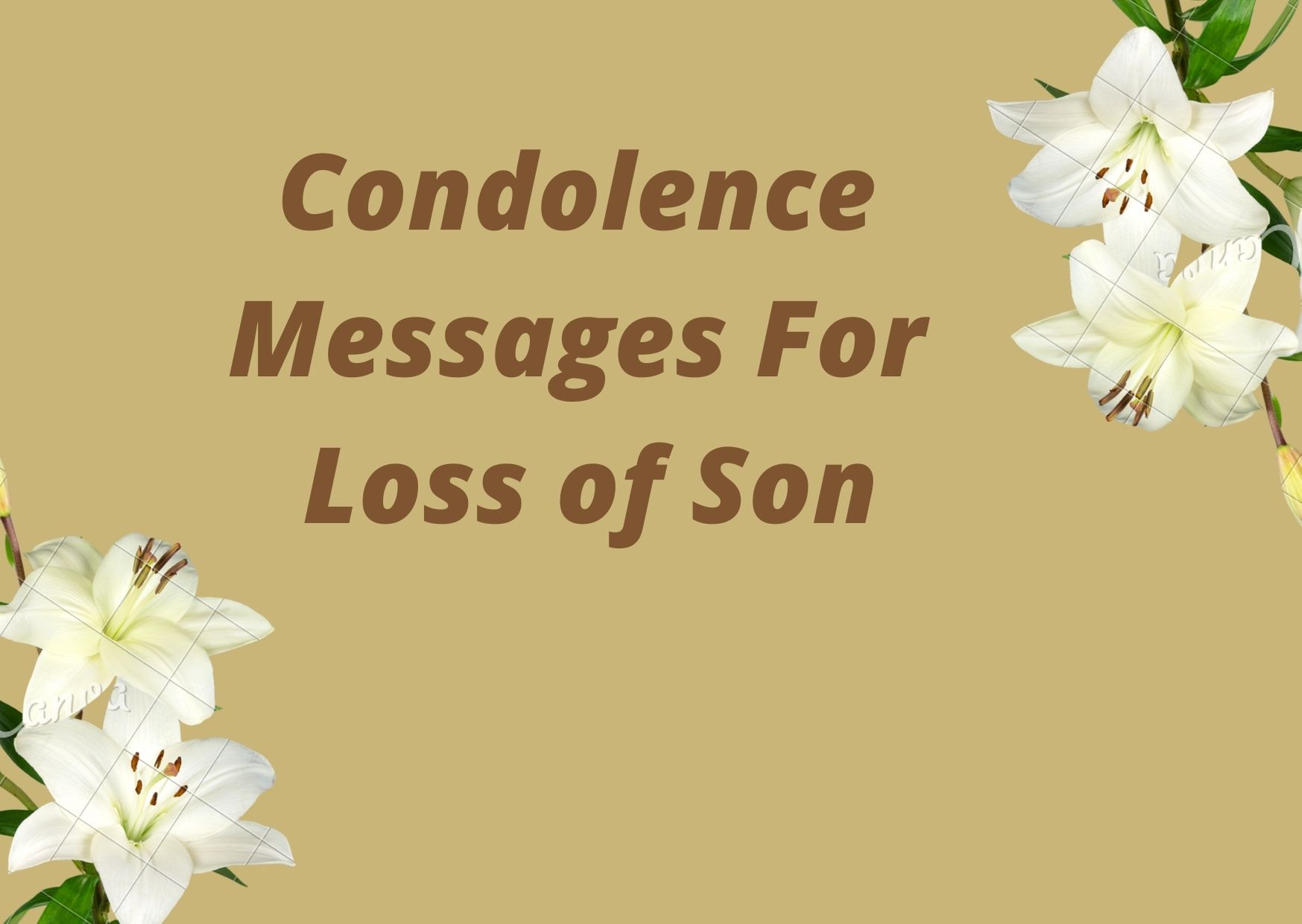 Condolence Messages for Loss of Son