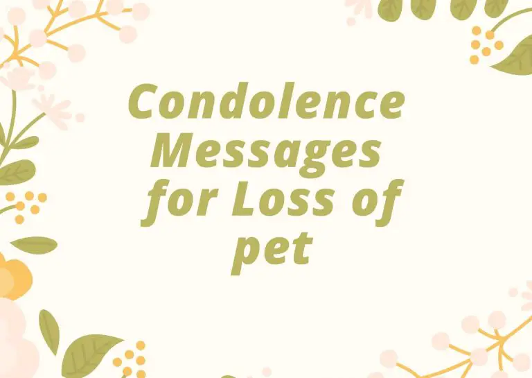 Condolence Messages for Loss of Pet