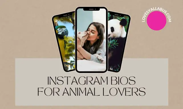 Instagram Bios For Animal Lovers
