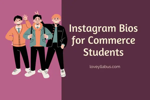 Instagram Bios for Commerce Students