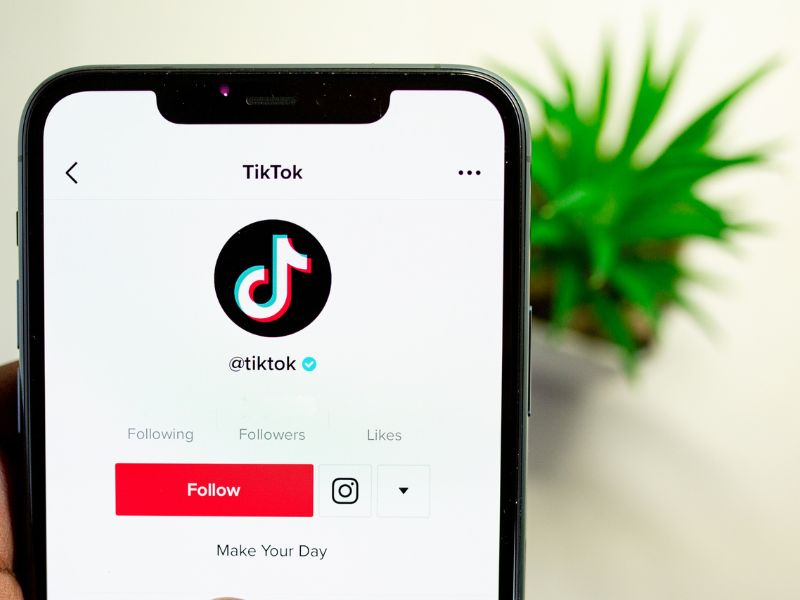 Understanding the TikTok Algorithm