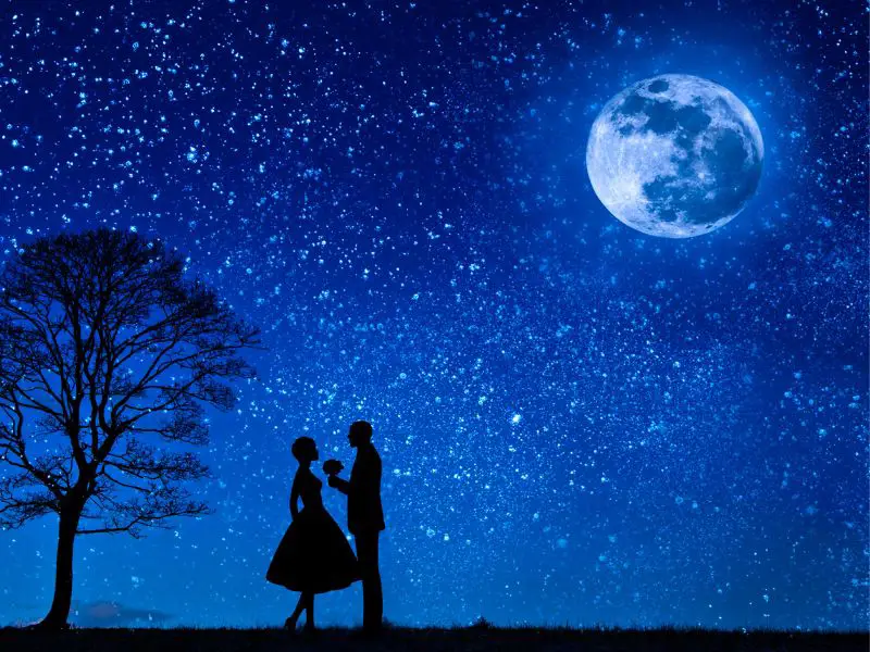 Dancing Under the Moonlight